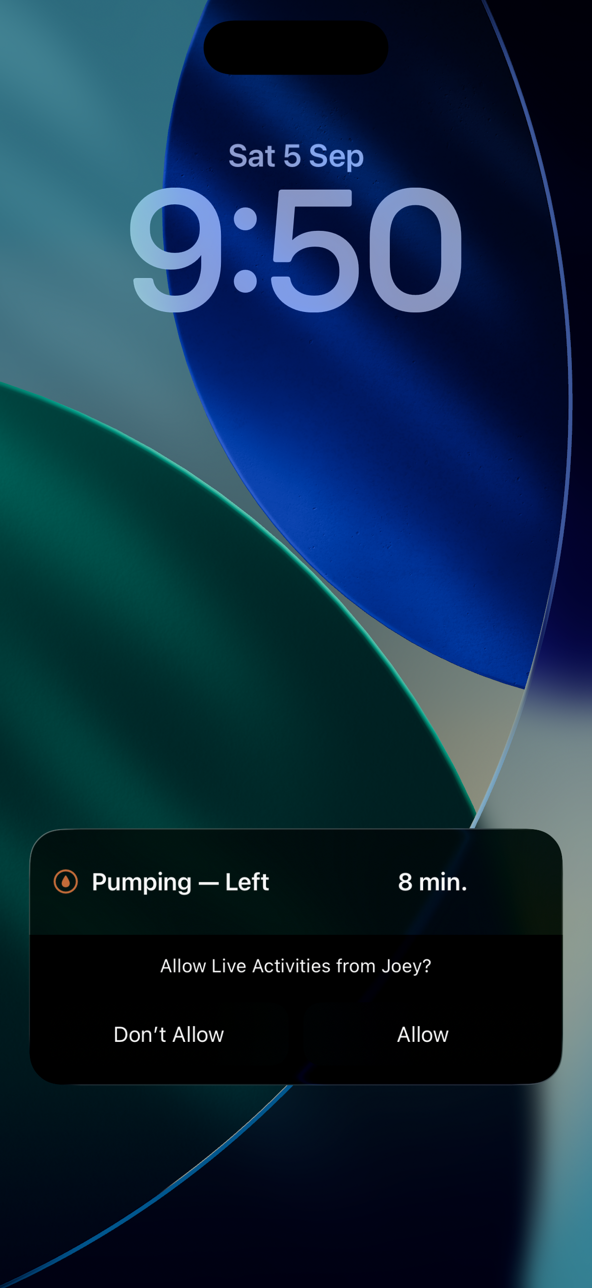 The lock screen showing a running Joey timer and the allow prompt